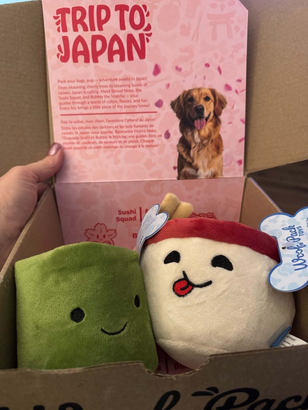 Woof Pack Trip to Japan box L dog toys NEW Miso ramen & matcha sip mug NEW W/tag